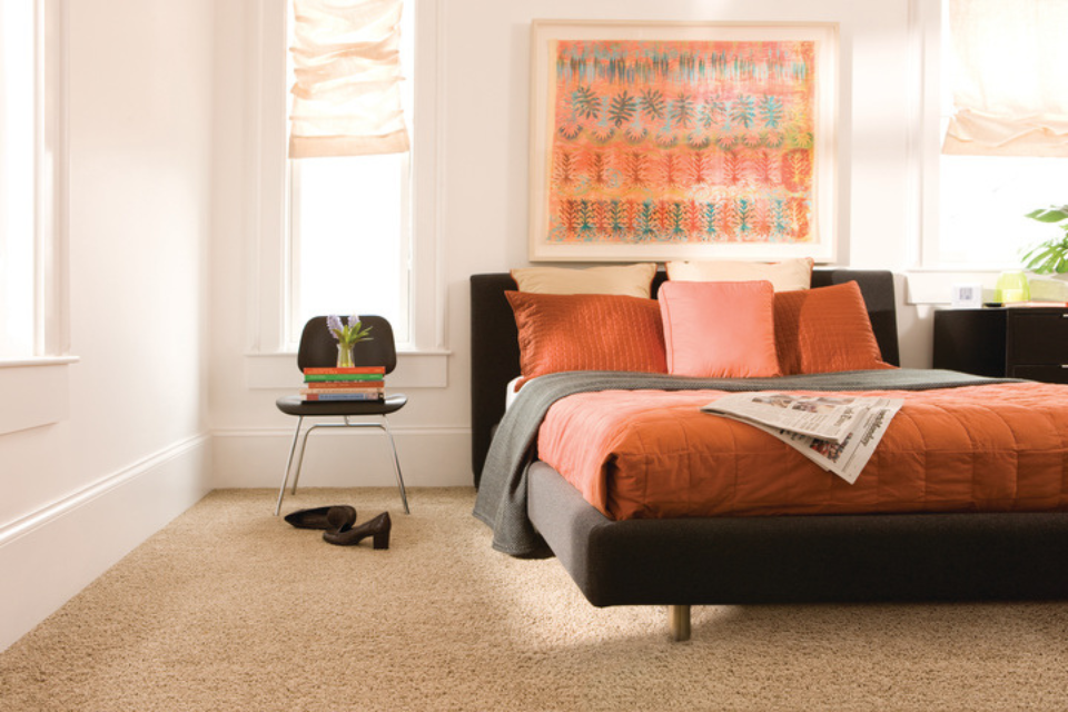 Carpet in bedroom