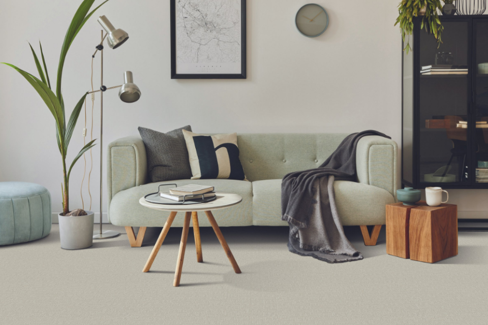 low pile carpet in living room